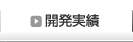 開発実績