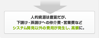 人的資源は豊富だが、下請け・孫請けへの仲介費・営業費などシステム開発以外の費用が発生し、高額に。