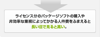 ライセンス分のパッケージソフトの購入や非効率な業務によってかかる人件費をふまえると長い目で見ると高い。